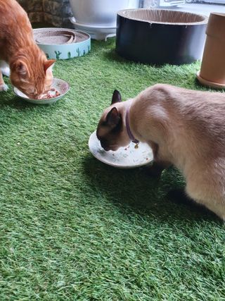 뿌엑이님이 올린 리뷰 사진 3