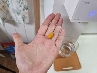 아이비웰니스 롱비다 커큐민 강황 400mg 함유 아이비 옐로우 초임계 알티지 오메가3 KD 파마 (30캡슐) — 5점을 준 리뷰어가 2024년 11월 올린 사용 사진