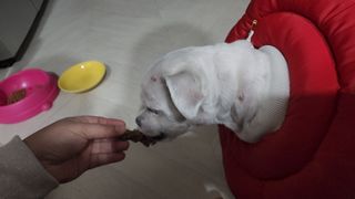 혀니♡님이 올린 리뷰 사진 3