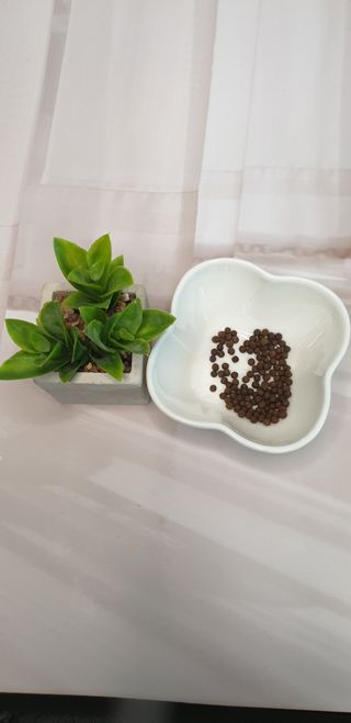 꼬물이님이 올린 리뷰 사진 3