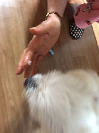 뾰로롱꼬마마녀님이 올린 리뷰 사진 4