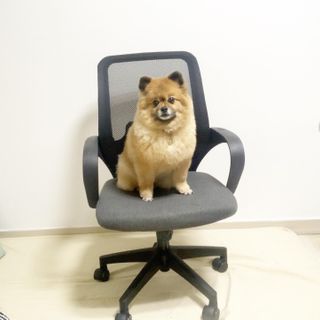 꿀냥이님이 올린 리뷰 사진 4