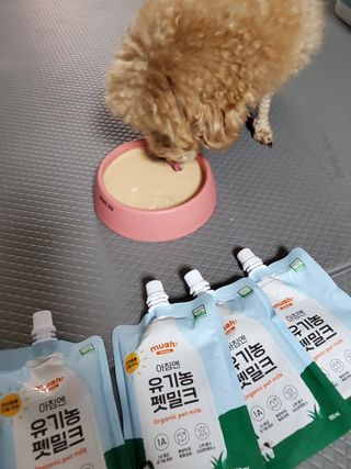 모모맘님이 올린 리뷰 사진 3