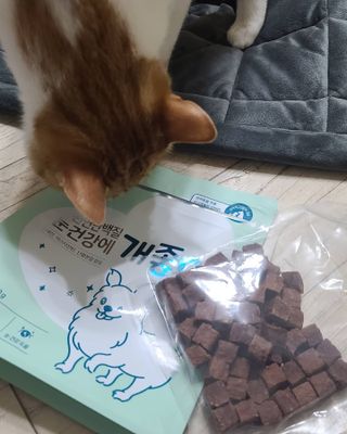 홍단비님이 올린 리뷰 사진 2