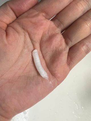 오투에니원 화이트 스완 퍼펙트 폼 클렌징 150g 퍼프증정 — 5점을 준 리뷰어가 2023년 1월 올린 사용 사진