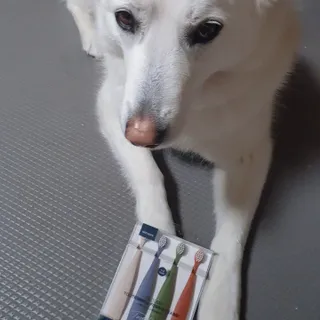 딸랑구둘🥰님이 올린 리뷰 사진 3