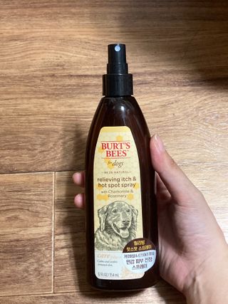 민트초코님이 올린 리뷰 사진 3