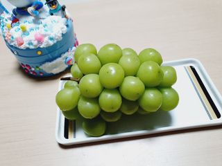 프리미엄 수출용 엘로아시스 샤인머스켓 특등품 1.5kg 2송이 — 5점을 준 리뷰어가 2021년 11월 올린 사용 사진