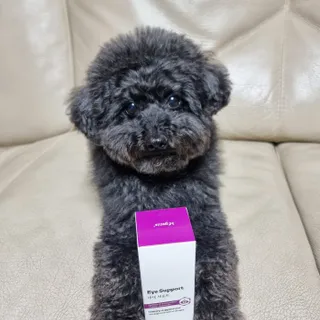 apple님이 올린 리뷰 사진 1