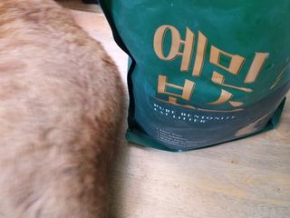 냠냠잉님이 올린 리뷰 사진 1