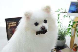 JAY님이 올린 리뷰 사진 3