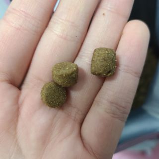 LunaHayes님이 올린 리뷰 사진 3