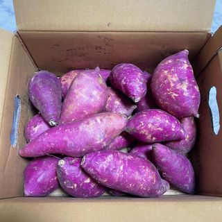 해뜨온 거산 노랑밤고구마 (3,4,5,10 kg) 한입 — 4점을 준 리뷰어가 2021년 10월 올린 사용 사진