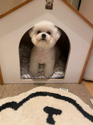 긍정미뇽님이 올린 리뷰 사진 2