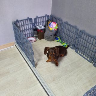 이쁘콩님이 올린 리뷰 사진 4