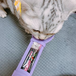 펭뽀꾸님이 올린 리뷰 사진 1
