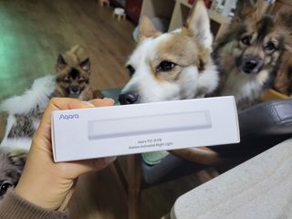 루비셀러님이 올린 리뷰 사진 3