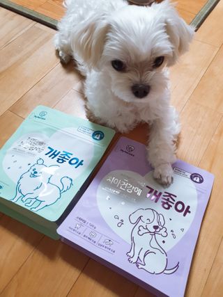 My Pet Care 천연단백질 치아건강에 개좋아 — 5점을 준 리뷰어가 2021년 1월 올린 사용 사진