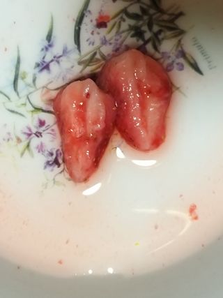 하나님이 올린 리뷰 사진 1