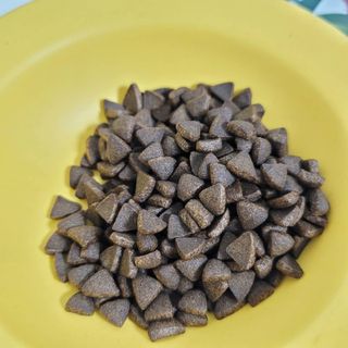 [푸디웜] 라포그  리얼인섹트 웨이트밸런스 저알러지 강아지 사료  1.2KG — 2.5점을 준 리뷰어가 2021년 7월 올린 사용 사진