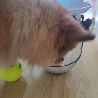 다님님이 올린 리뷰 사진 3