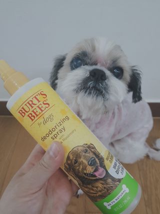 민우다빈이맘님이 올린 리뷰 사진 3