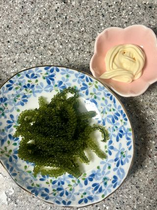 [피터씨마켓] 바다포도 100g(20g x 5봉) 우미부도 그린캐비어 ASMR 소분포장 — 5점을 준 리뷰어가 2024년 8월 올린 사용 사진
