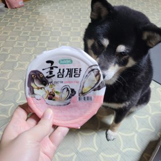 EunsunKim님이 올린 리뷰 사진 2