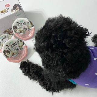 광양엔젤님이 올린 리뷰 사진 1
