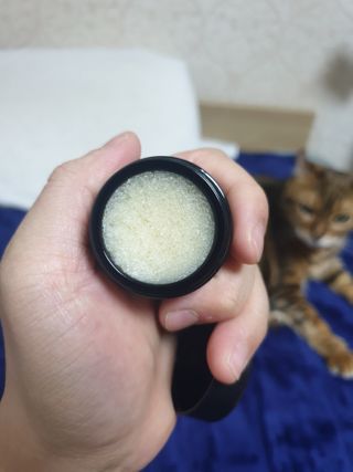 위드님이 올린 리뷰 사진 3