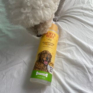 bongdam님이 올린 리뷰 사진 1