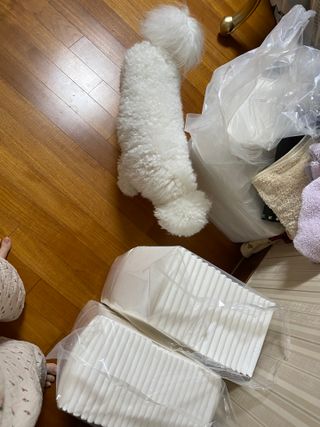 예지님이 올린 리뷰 사진 2