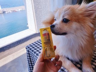 무지조타 반려동물용 꽃으로만든영양제 헬리코디펜스 15ml — 5점을 준 리뷰어가 2021년 8월 올린 사용 사진