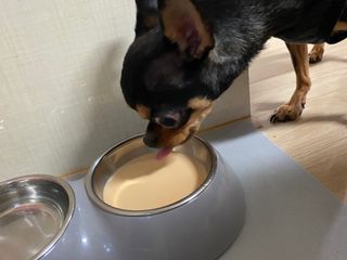깡지님이 올린 리뷰 사진 4