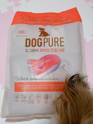 도그퓨어 피부와모질/혼합유산균/글루코사민 유기농 로스팅 사료 — 5점을 준 리뷰어가 2021년 9월 올린 사용 사진