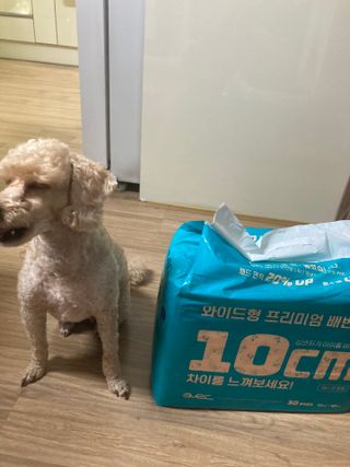 아베크 펫 와이드 프리미엄 대형 애견 강아지 배변 패드 30매 1팩 80g — 5점을 준 리뷰어가 2021년 7월 올린 사용 사진