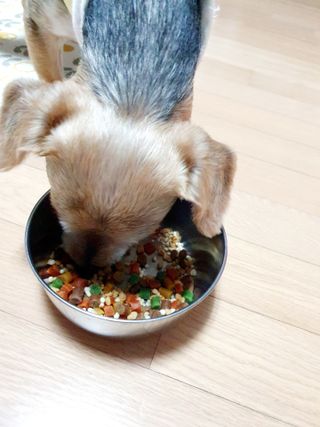 슐쟁이😄님이 올린 리뷰 사진 4