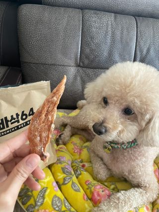 차세라님이 올린 리뷰 사진 2