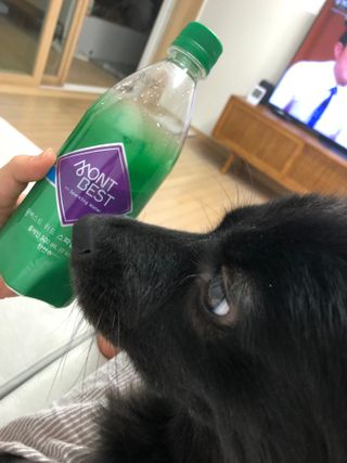 몽베스트 Montbest with Sparkling water Plain 20병 — 5점을 준 리뷰어가 2021년 11월 올린 사용 사진