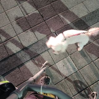 햇님달님님이 올린 리뷰 사진 2