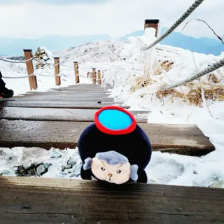 HJ님이 올린 리뷰 사진 1