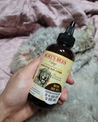lemoniee님이 올린 리뷰 사진 1