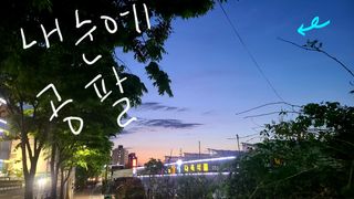 으나님이 올린 리뷰 사진 3