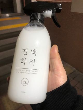 편백하라 피톤치드 편백수 탈취제 500ML — 5점을 준 리뷰어가 2022년 11월 올린 사용 사진