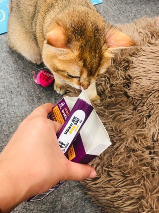 제이썬0103님이 올린 리뷰 사진 4