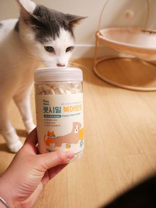 [펫시밀] 원물그대로 영양듬뿍 진공동결건조 북어트릿75g,치킨트릿100g,연어트릿75g 강아지 고양이 간식 — 5점을 준 리뷰어가 2023년 6월 올린 사용 사진