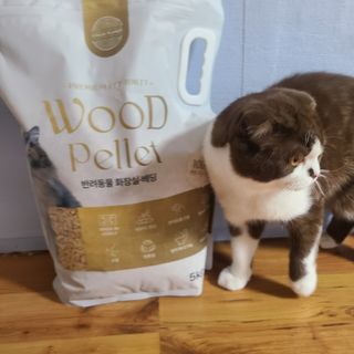 버진플래닛코리아 버진플래닛 고양이 화장실 우드 펠렛 모래 배변 펠릿 — 4점을 준 리뷰어가 2023년 2월 올린 사용 사진