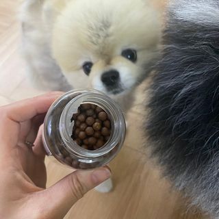 펫21 그로그로 5종 강아지 고양이 반려동물 한방 영양제 — 3.5점을 준 리뷰어가 2021년 11월 올린 사용 사진