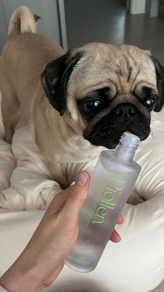 은때님이 올린 리뷰 사진 1