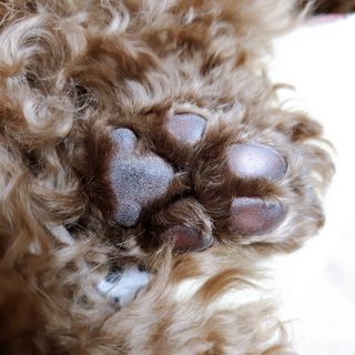 벼리님이 올린 리뷰 사진 3